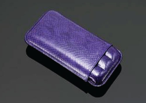 Lizard Pattern Case – Indigo 3’